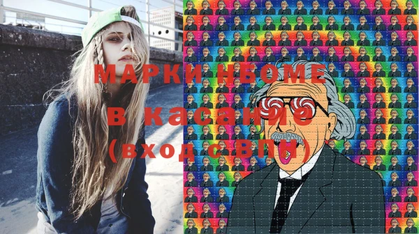 индика Верхний Тагил