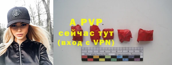 хмурый Волосово