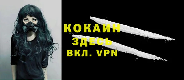 индика Верхний Тагил