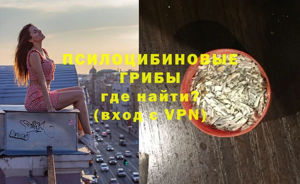 индика Верхний Тагил