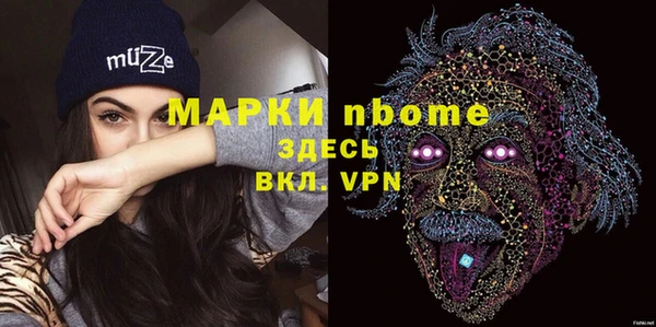 индика Верхний Тагил