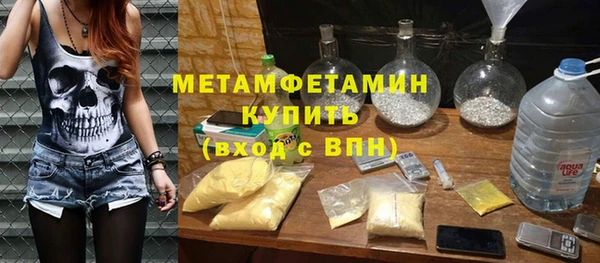 индика Верхний Тагил