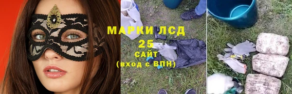 индика Верхний Тагил