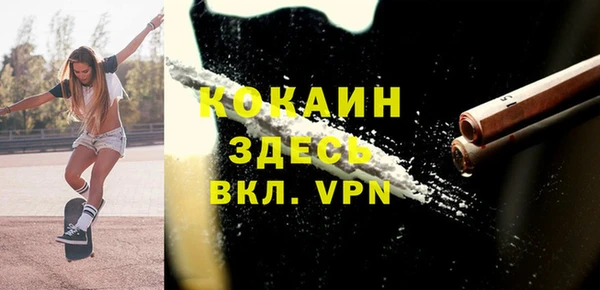 ПСИЛОЦИБИНОВЫЕ ГРИБЫ Верея