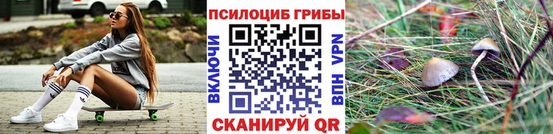 Купить закладки  Звенигово  Псилоцибиновые грибы мухоморы 
